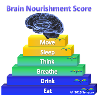 Brain Nourishment Score